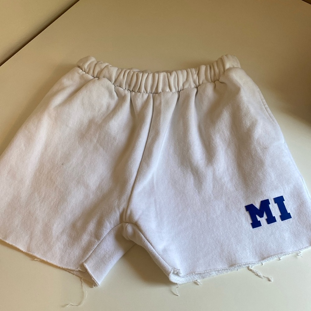 Retro brand university of Michigan sweat shorts